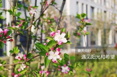 棋牌娱乐平台