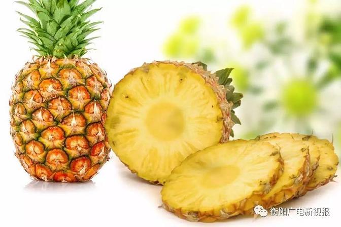 白菜项目网k8娱乐