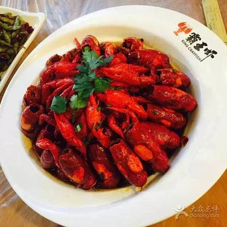 盈乐微投