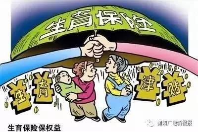 cp白菜收录大全